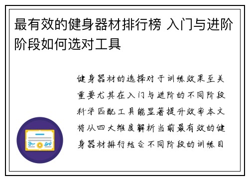 最有效的健身器材排行榜 入门与进阶阶段如何选对工具